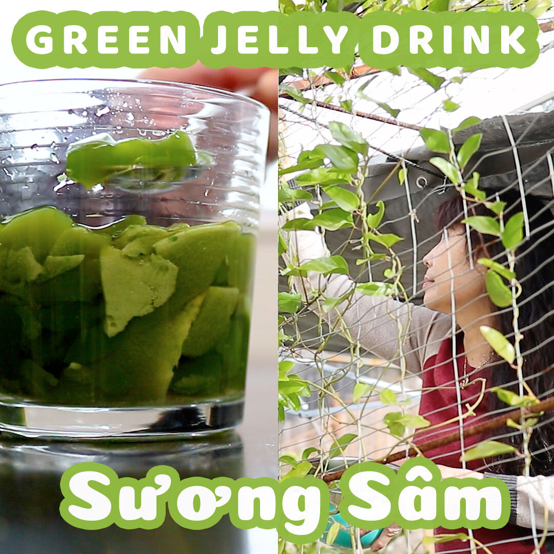 Video Recipe: How to Make Refreshing Vietnamese Green Jelly Drink from Scratch (Sương Sâm)