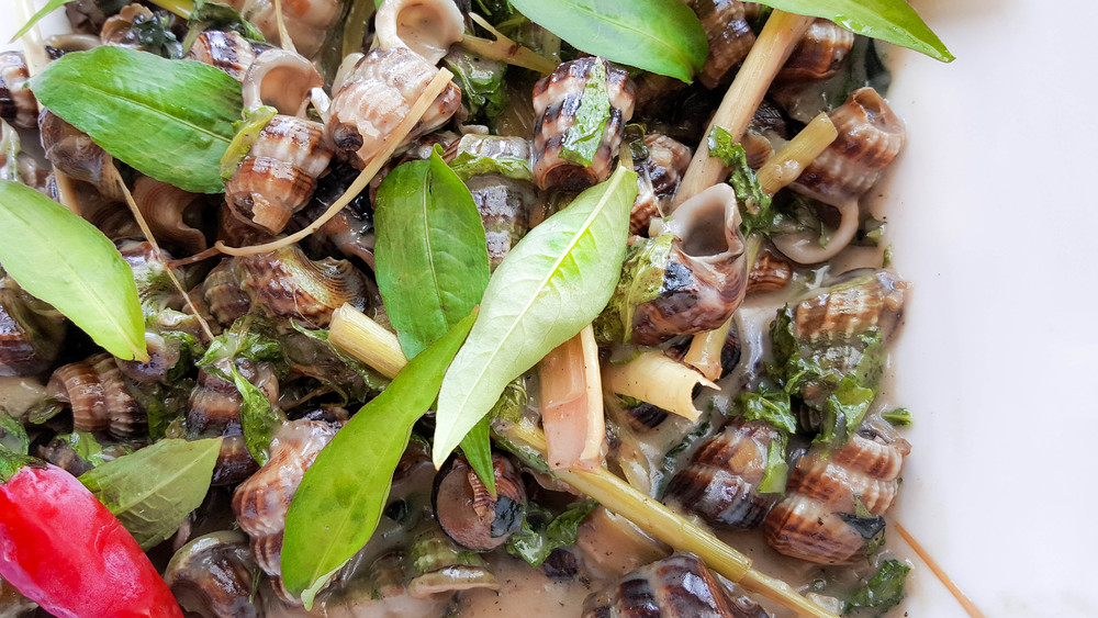 Sea Snails in Coconut Milk (Ốc Len Xào Dừa)