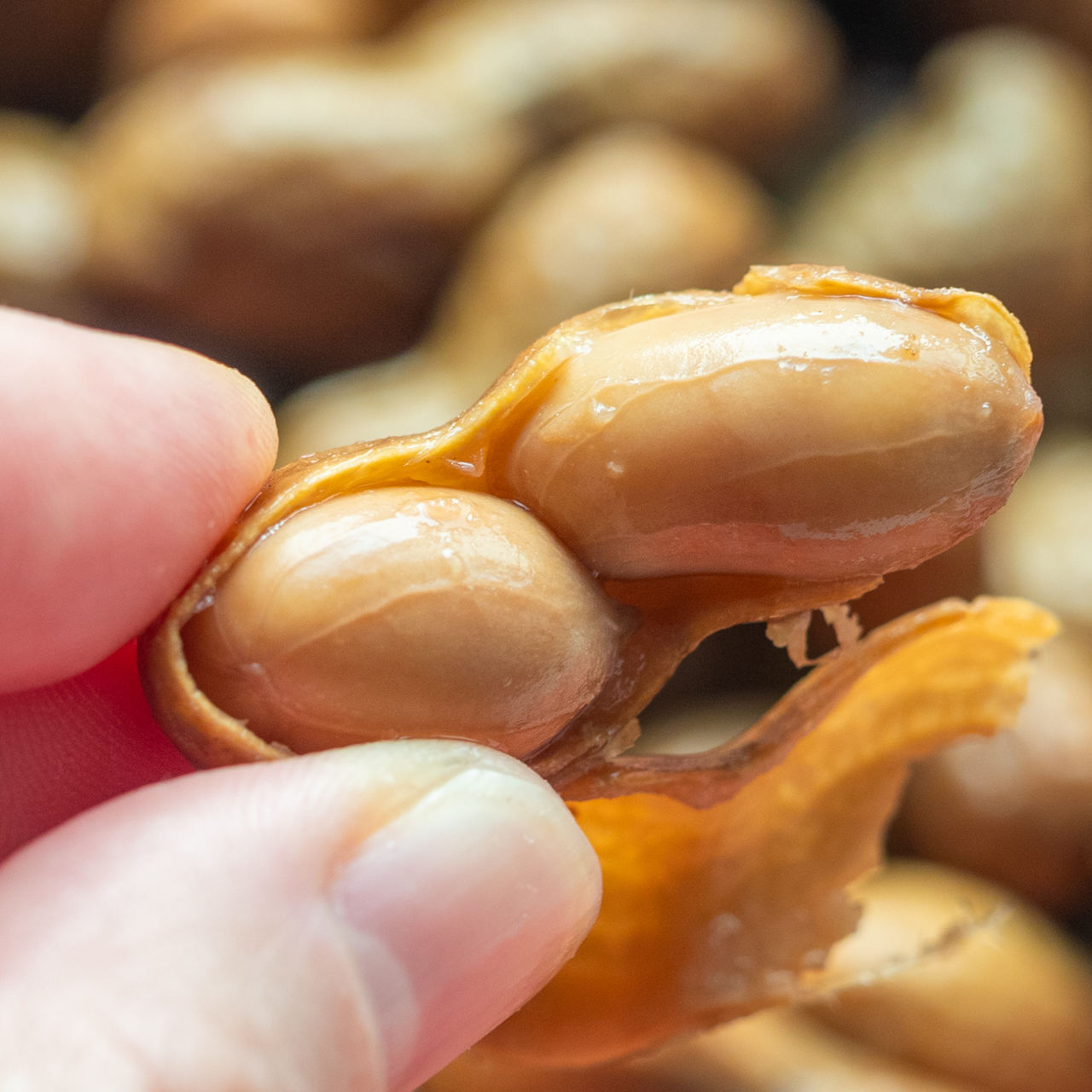 Vietnamese Boiled Peanuts (Đậu Phộng Luộc)
